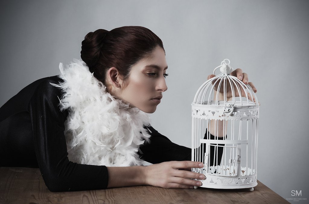 EDITORIAL | BIG BIRD, SMALL CAGE